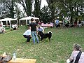 img 128